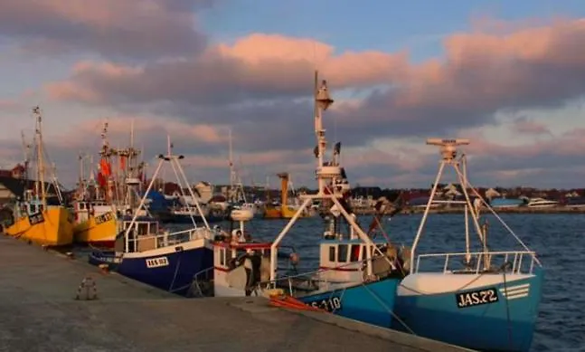 Surf Wioska Kamp alanı *